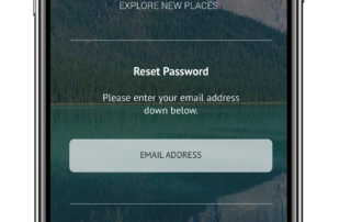 Forgot Password